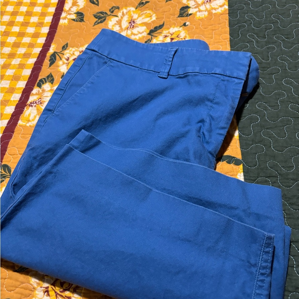 LOFT Julie Blue Shorts - Picture 13 of 14